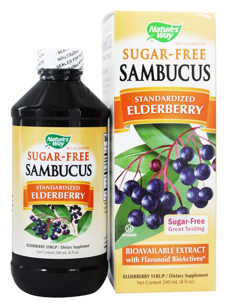 Nature's Way - Sambucus Bio-Certified Black Elderberry Syrup Sugar-Free - 8 fl. oz.
