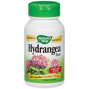 Hydrangea Root