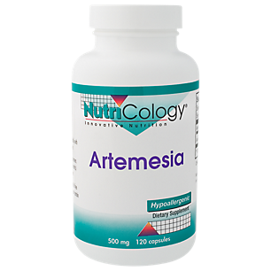 Artemesia - 500 MG (120 Capsules)
