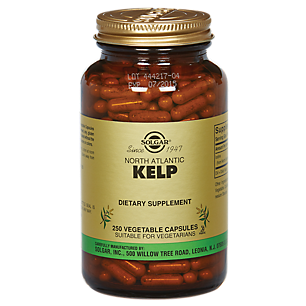 Kelp