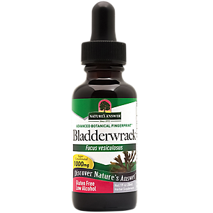 Bladderwrack - Super Concentrated with Low Alcohol - 1,000 MG Per Serving (1 fl oz)