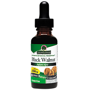 Black Walnut - Super Concentrated & Alcohol Free - 2,000 MG (1 Fluid Ounce)
