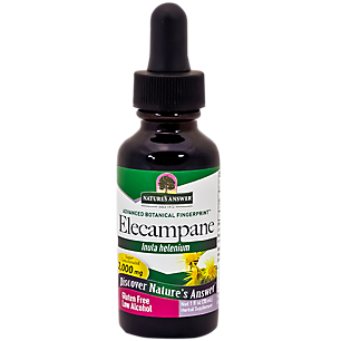 Elecampane - Super Concentrated with Low Alcohol - 2,000 MG (1 Fluid Ounce)