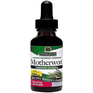 Motherwort - Super Concentrated Organic Alcohol - 2,000 MG Per Serving (1 Fluid Ounce)