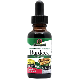 Burdock Root Extract - Super Concentrated - 675 MG (1 Fluid Ounce)