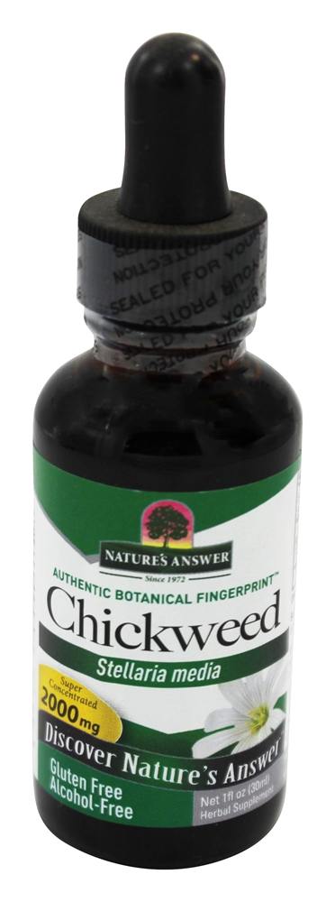 Nature's Answer - Chickweed Herb Alcohol Free - 1 fl. oz.