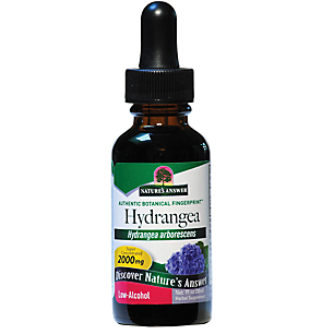 Hydrangea - Super Concentrated with Low Alcohol - 2,000 MG Per Serving (1 fl oz)