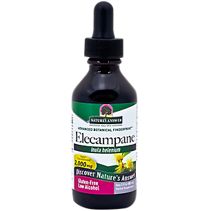 Elecampane Root