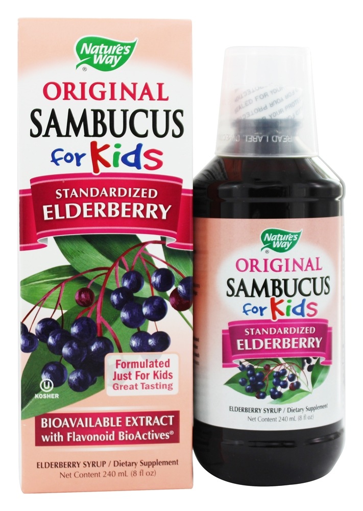 Nature's Way - Sambucus For Kids Bio-Certified Elderberry Echinacea & Propolis Syrup Berry Flavored - 8 fl. oz.