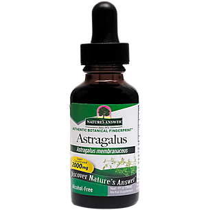 Astragalus - Super Concentrated & Alcohol Free - 2,000 MG (1 Fluid Ounce)