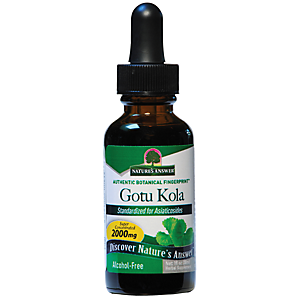 Gotu Kola - Super Concentrated & Alcohol Free - 2,000 MG Per Serving (1 fl oz)