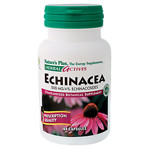 Echinacea